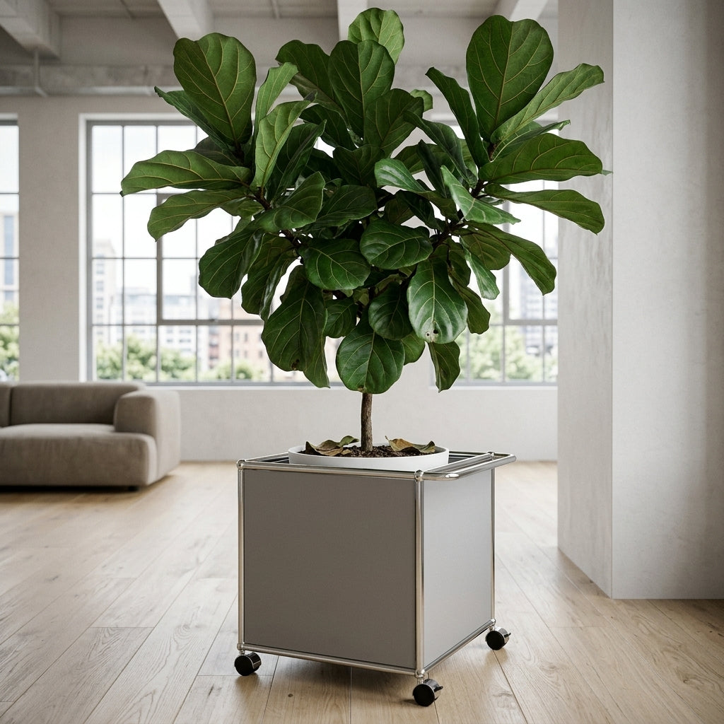 HAUS Lab Lenkrolle kompatibel mit USM Haller 2er-Set mit Arretierung